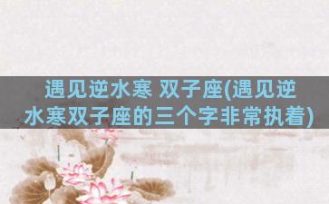 遇见逆水寒 双子座(遇见逆水寒双子座的三个字非常执着)